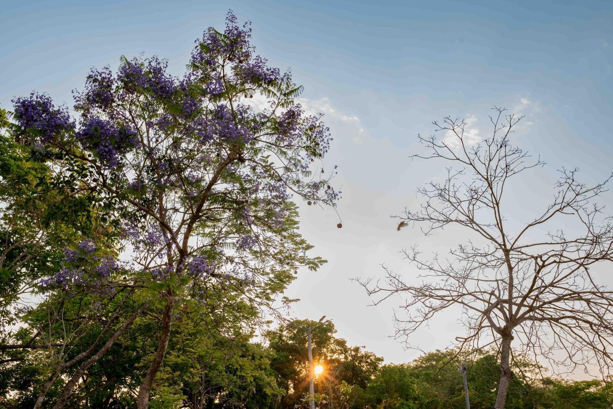 Spa Agua Milagrosa Cuiabá Dış mekan fotoğraf
