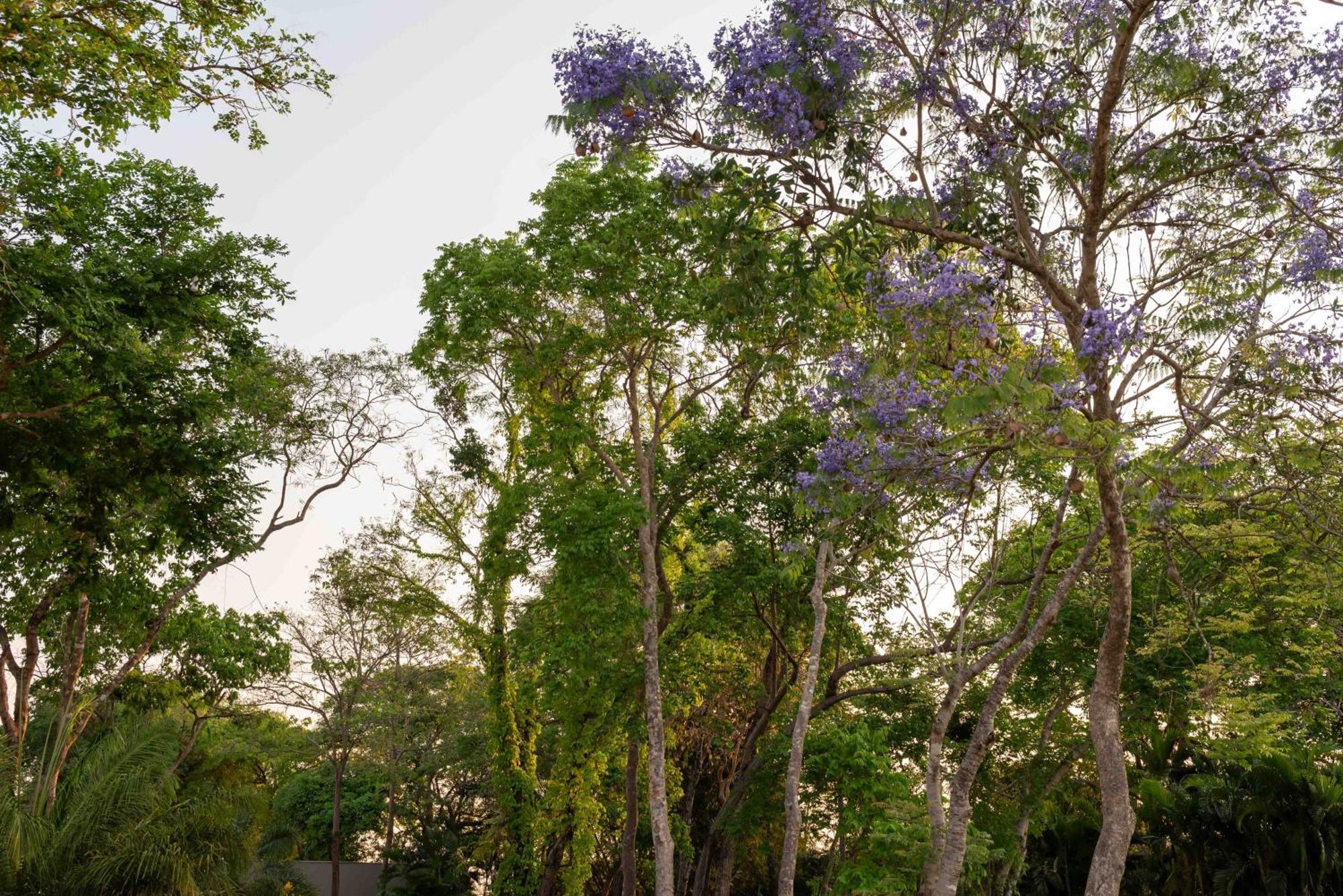 Spa Agua Milagrosa Cuiabá Dış mekan fotoğraf
