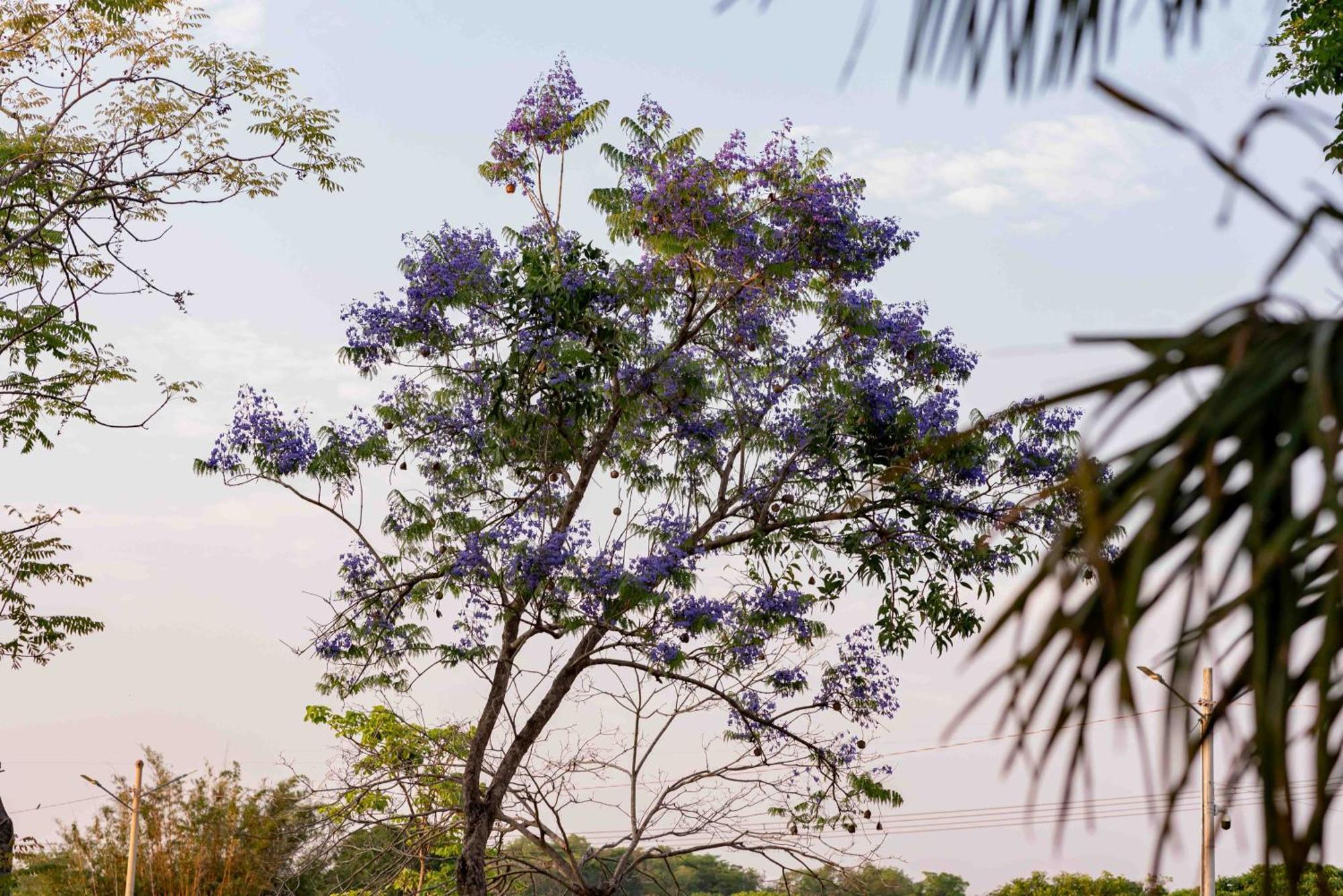 Spa Agua Milagrosa Cuiabá Dış mekan fotoğraf